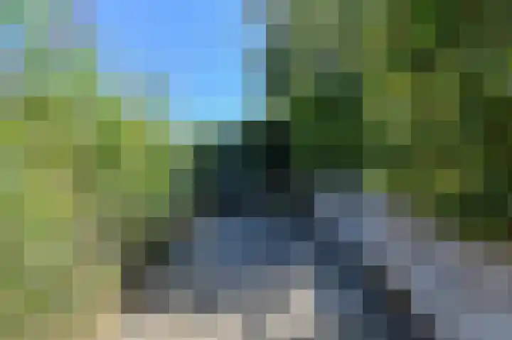 Koolmees 49 Breda thumbnail 48