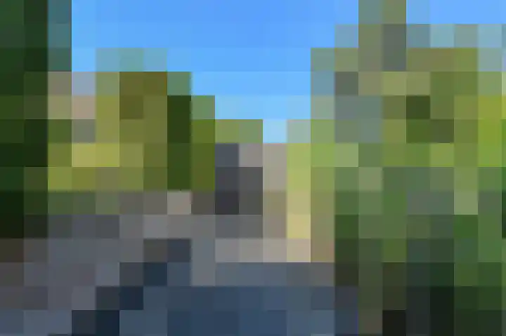 Koolmees 49 Breda thumbnail 49