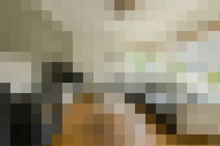 Koolmees 49 Breda thumbnail 5