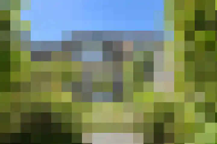 Koolmees 49 Breda thumbnail 51