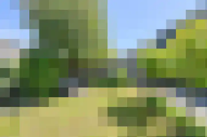 Koolmees 49 Breda thumbnail 52