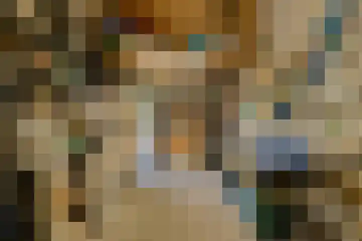 Koolmees 49 Breda thumbnail 54