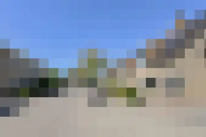 Koolmees 49 Breda thumbnail 55