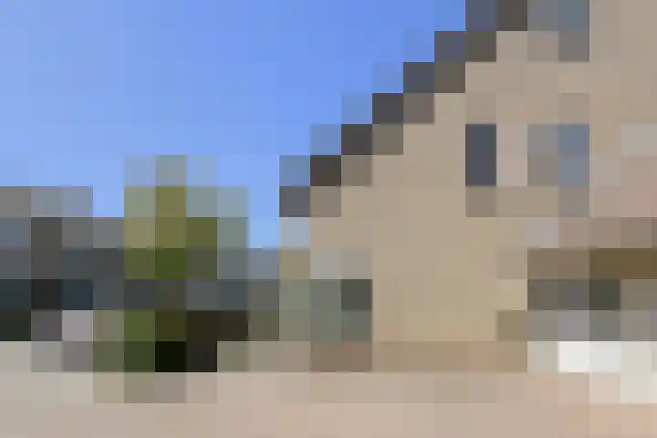 Koolmees 49 Breda thumbnail 56