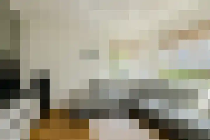 Koolmees 49 Breda thumbnail 6