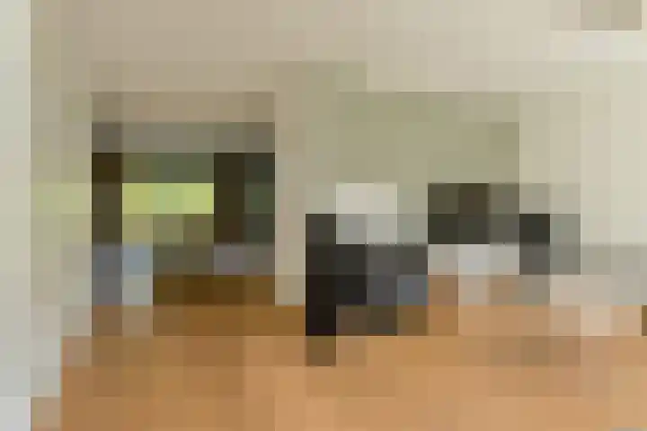 Koolmees 49 Breda thumbnail 8