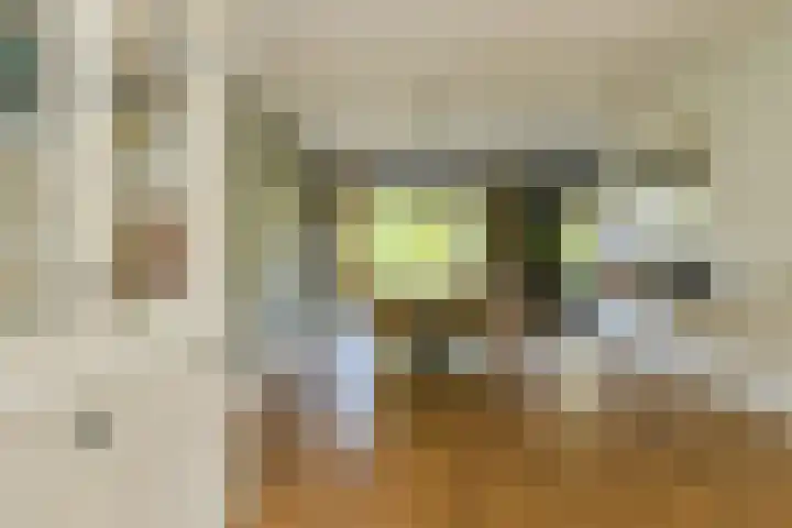 Koolmees 49 Breda thumbnail 9