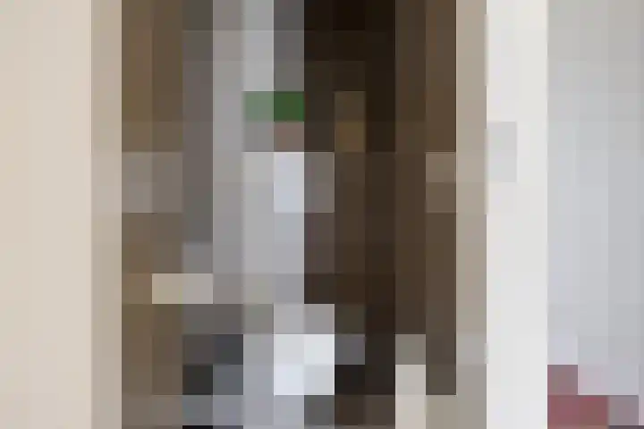 Koolmees 49 Emmen thumbnail 12