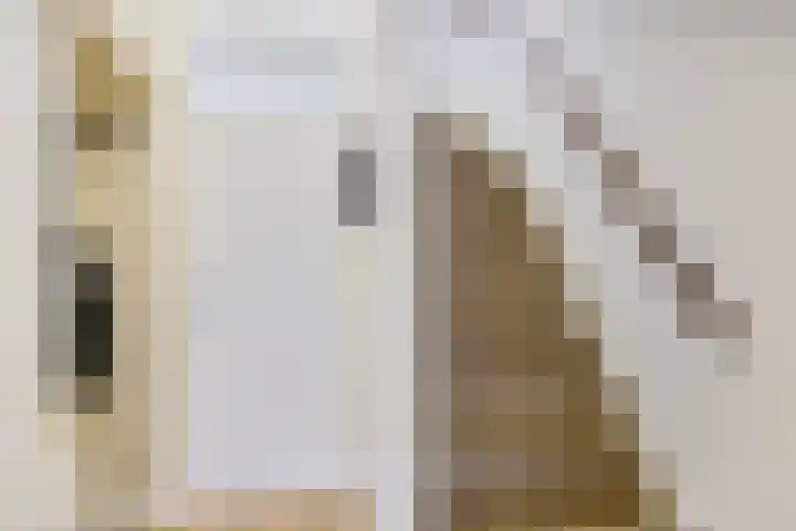 Koolmees 49 Emmen thumbnail 14