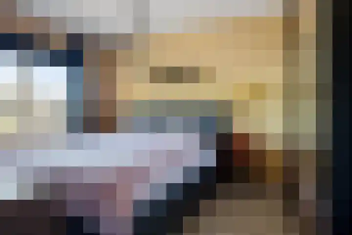 Koolmees 49 Emmen thumbnail 15