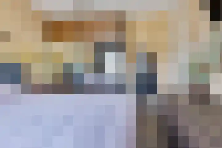 Koolmees 49 Emmen thumbnail 16