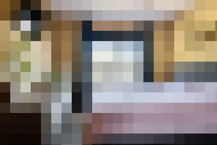 Koolmees 49 Emmen thumbnail 17