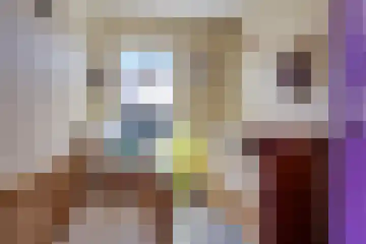 Koolmees 49 Emmen thumbnail 18
