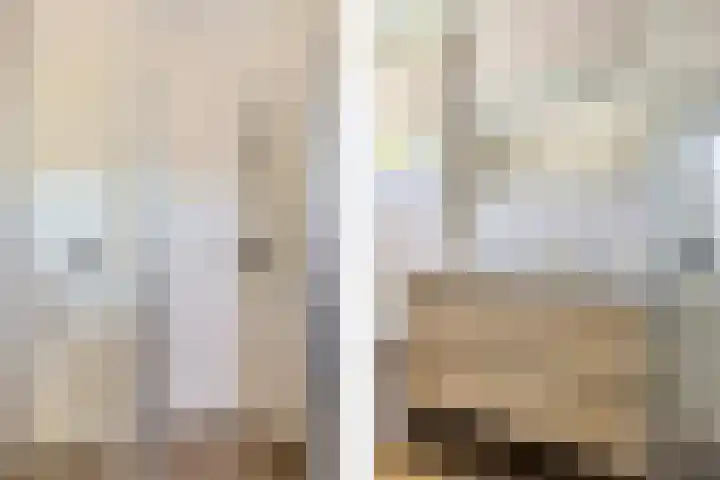 Koolmees 49 Emmen thumbnail 22