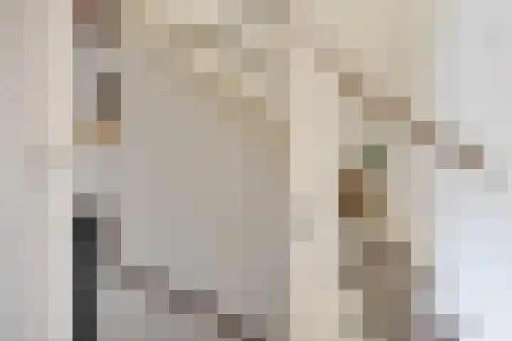 Koolmees 49 Emmen thumbnail 23