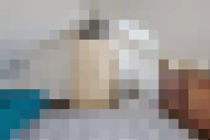 Koolmees 49 Emmen thumbnail 25