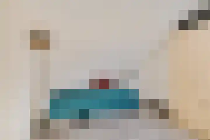 Koolmees 49 Emmen thumbnail 26
