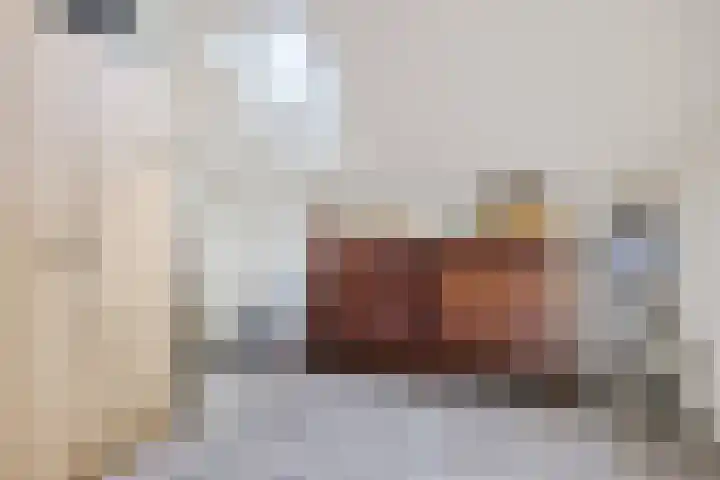 Koolmees 49 Emmen thumbnail 27