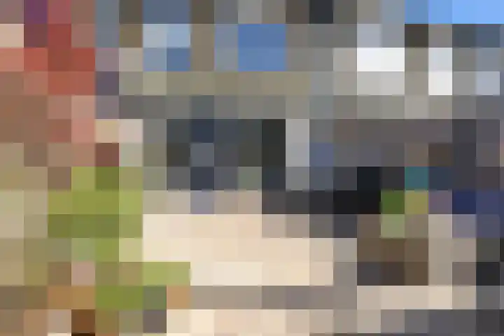 Koolmees 49 Emmen thumbnail 28
