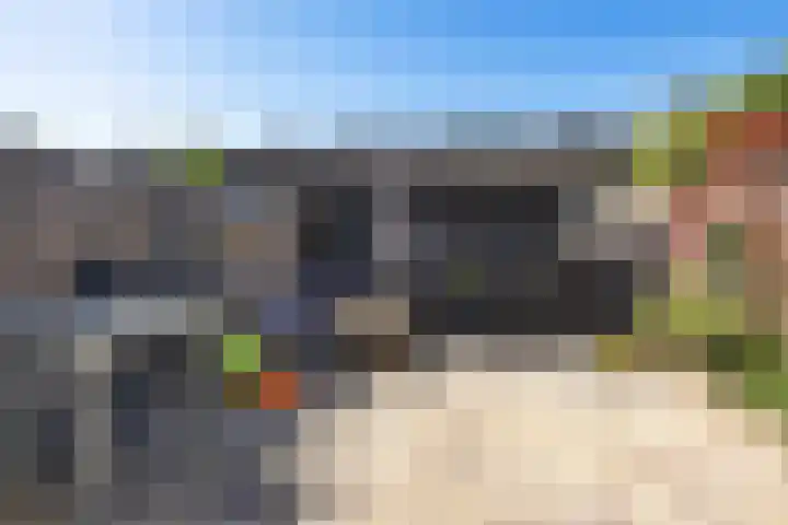 Koolmees 49 Emmen thumbnail 30