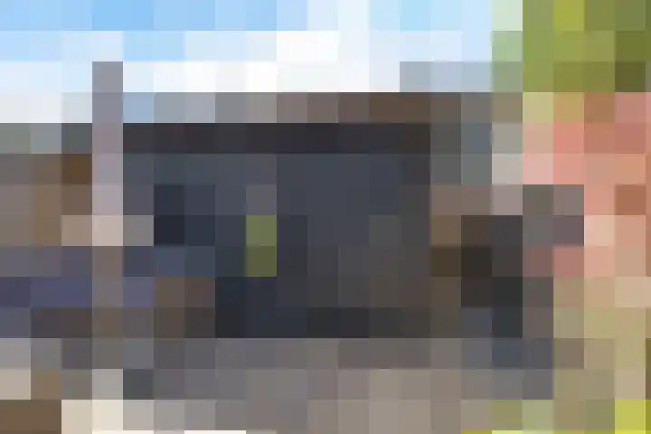 Koolmees 49 Emmen thumbnail 31