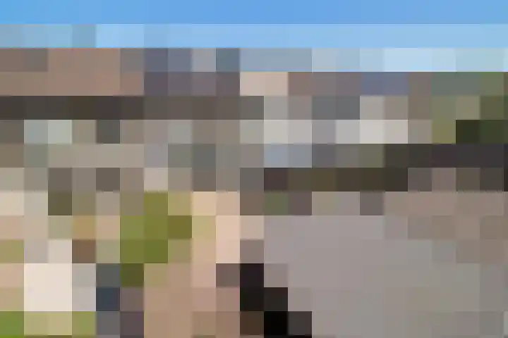 Koolmees 49 Emmen thumbnail 32