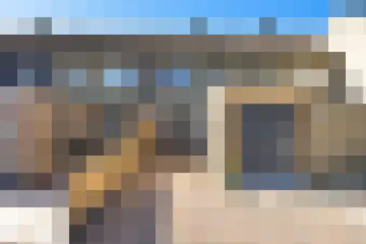 Koolmees 49 Emmen thumbnail 34