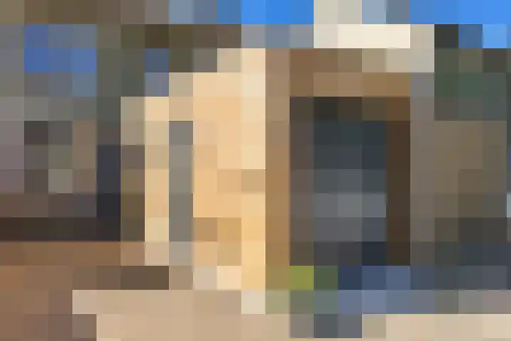 Koolmees 49 Emmen thumbnail 35