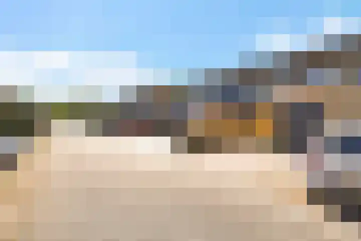 Koolmees 49 Emmen thumbnail 36