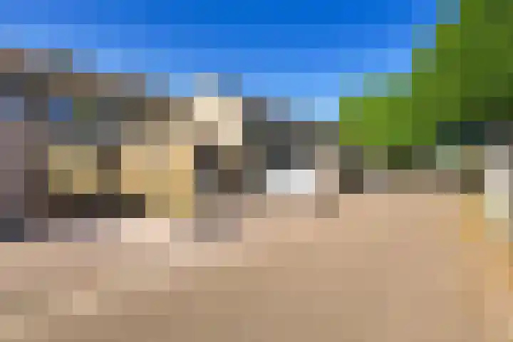 Koolmees 49 Emmen thumbnail 37