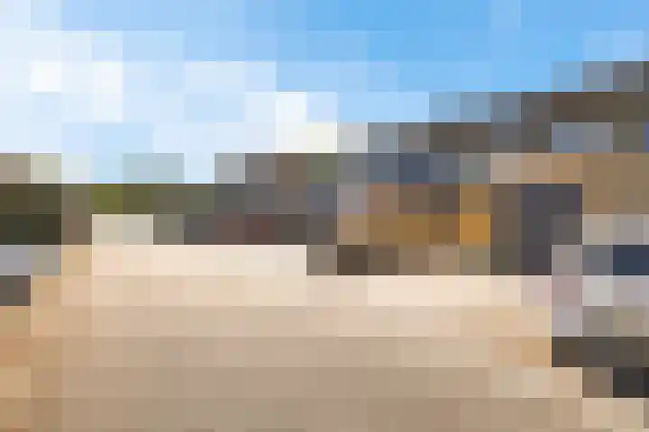 Koolmees 49 Emmen thumbnail 38