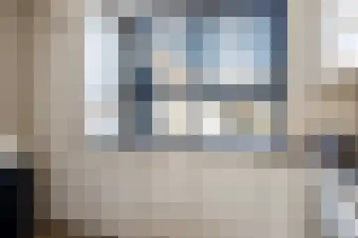 Koolmees 49 Emmen thumbnail 4