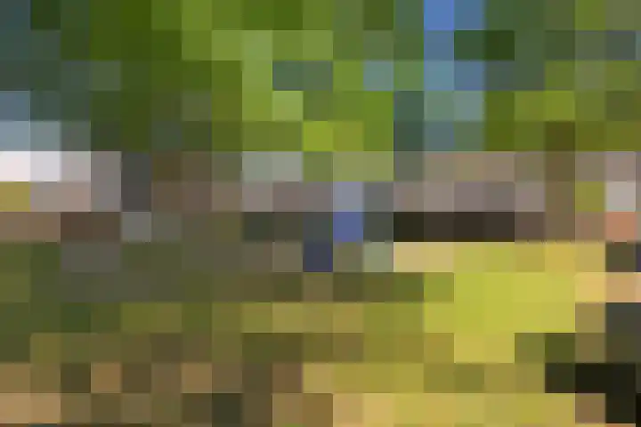 Koolmees 49 Emmen thumbnail 40