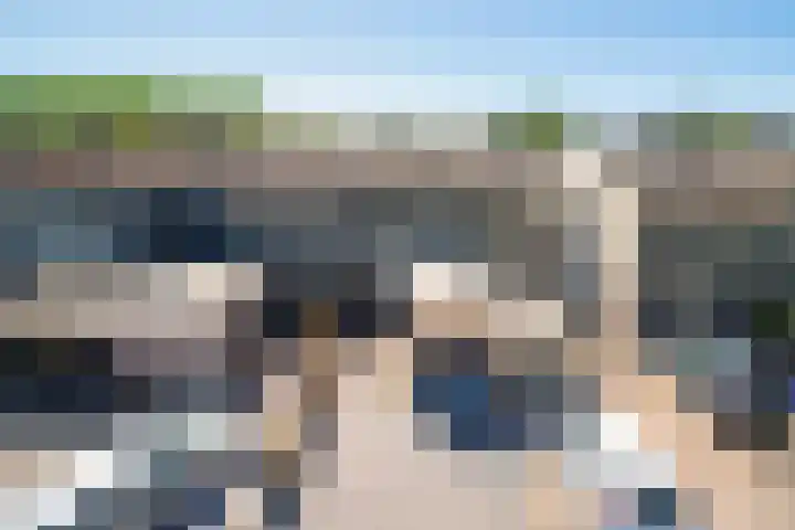 Koolmees 49 Emmen thumbnail 41