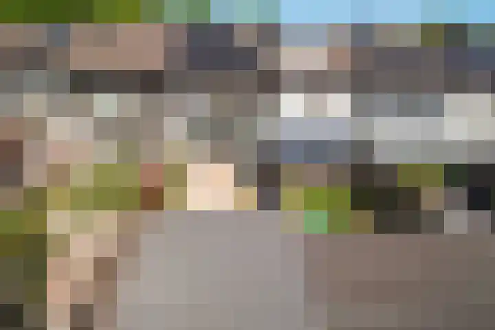 Koolmees 49 Emmen thumbnail 42