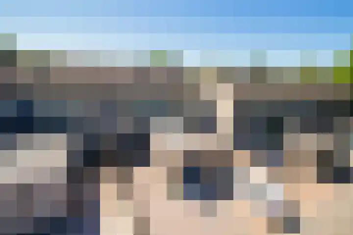 Koolmees 49 Emmen thumbnail 43