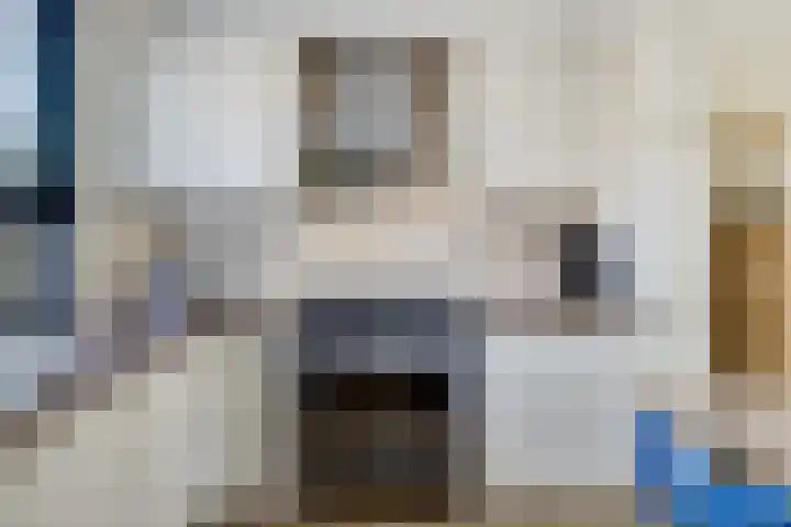 Koolmees 49 Emmen thumbnail 5