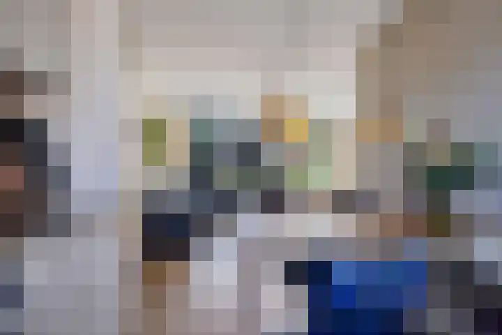 Koolmees 49 Emmen thumbnail 6