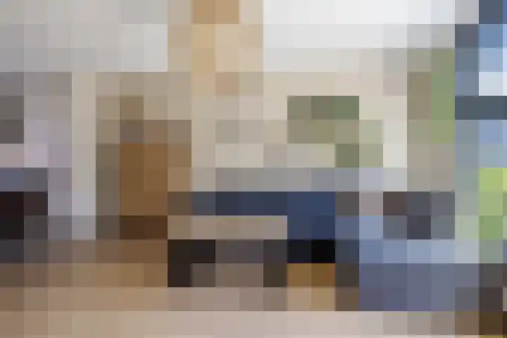 Koolmees 49 Emmen thumbnail 7