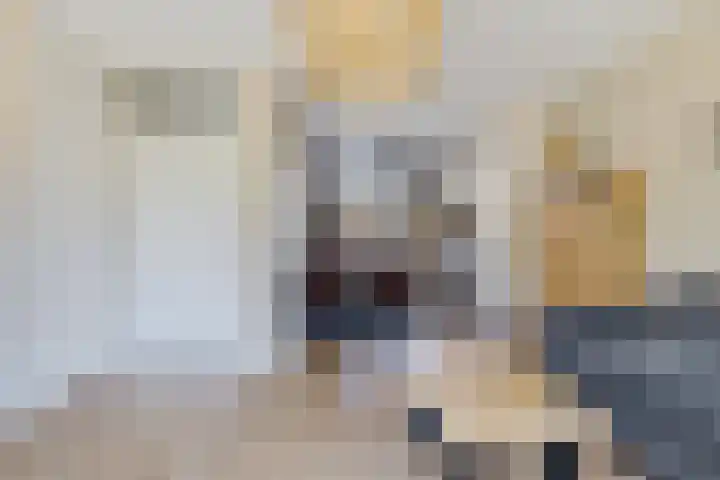 Koolmees 49 Emmen thumbnail 8