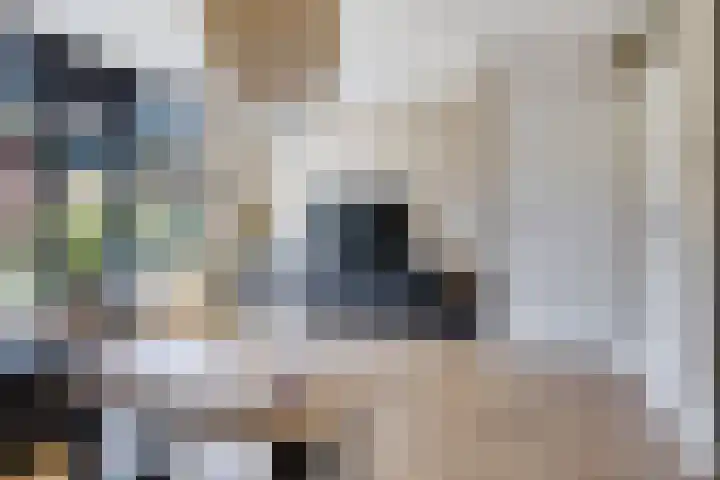 Koolmees 49 Emmen thumbnail 9