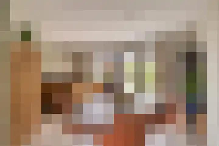 Koolmees 5 Olst thumbnail 10