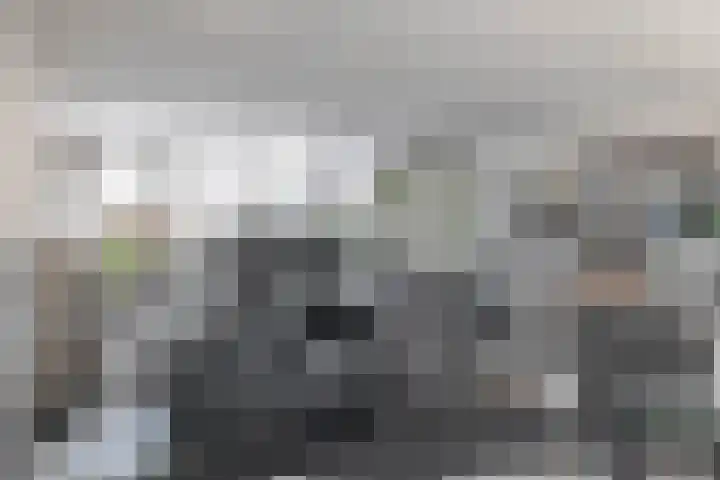Koolmees 5 Olst thumbnail 11