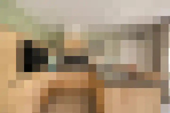 Koolmees 5 Olst thumbnail 11
