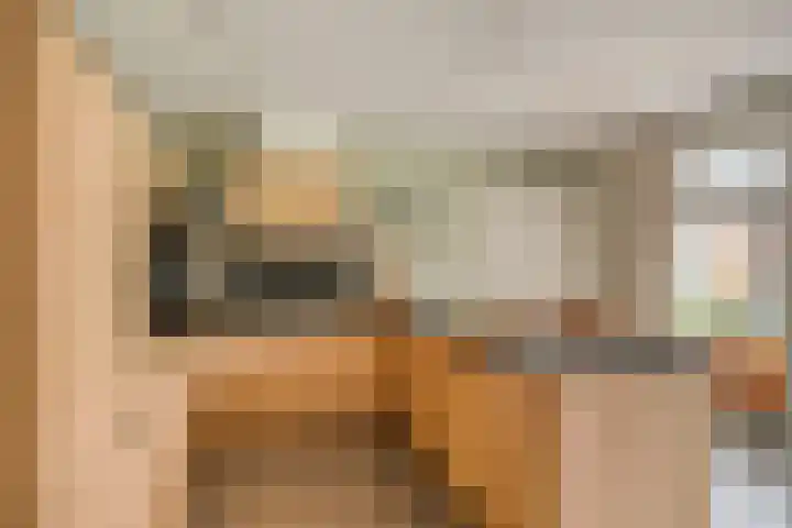 Koolmees 5 Olst thumbnail 12