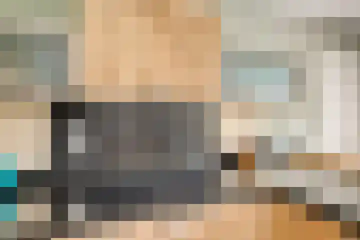 Koolmees 5 Olst thumbnail 13