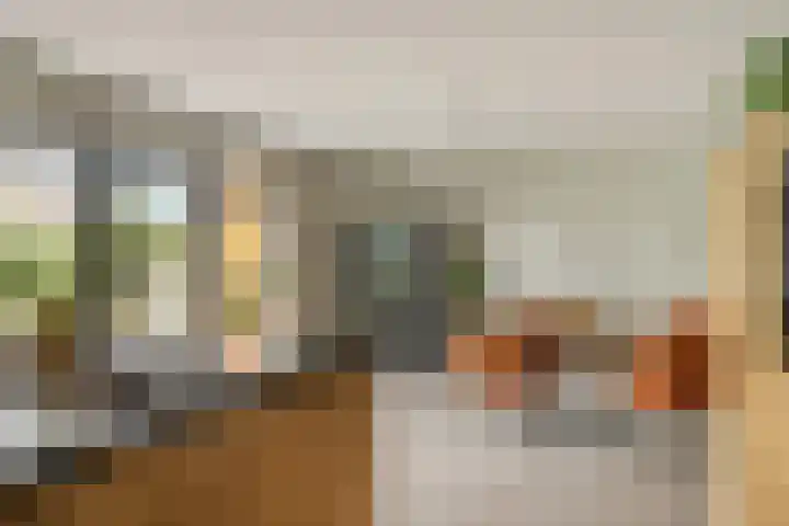 Koolmees 5 Olst thumbnail 14