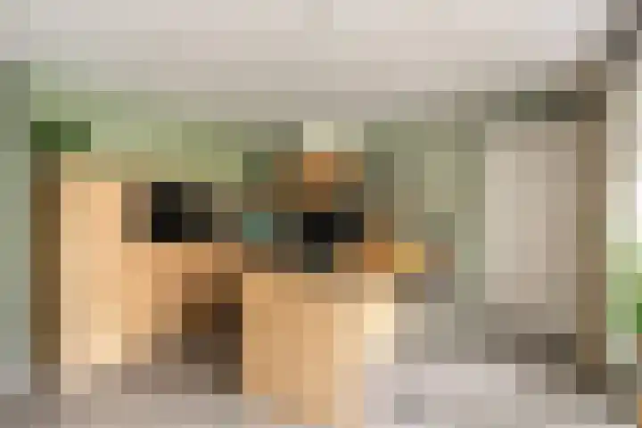 Koolmees 5 Olst thumbnail 15