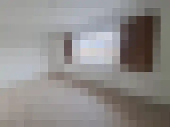 Koolmees 5 Olst thumbnail 16