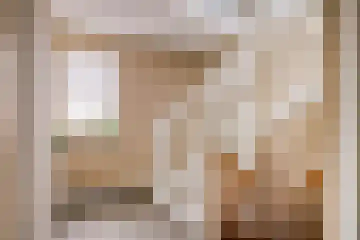 Koolmees 5 Olst thumbnail 18